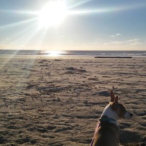 Meet your Posher, Tara